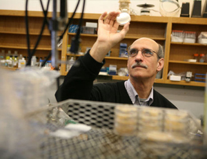 验证服务平台的手机轰在线轰炸免费